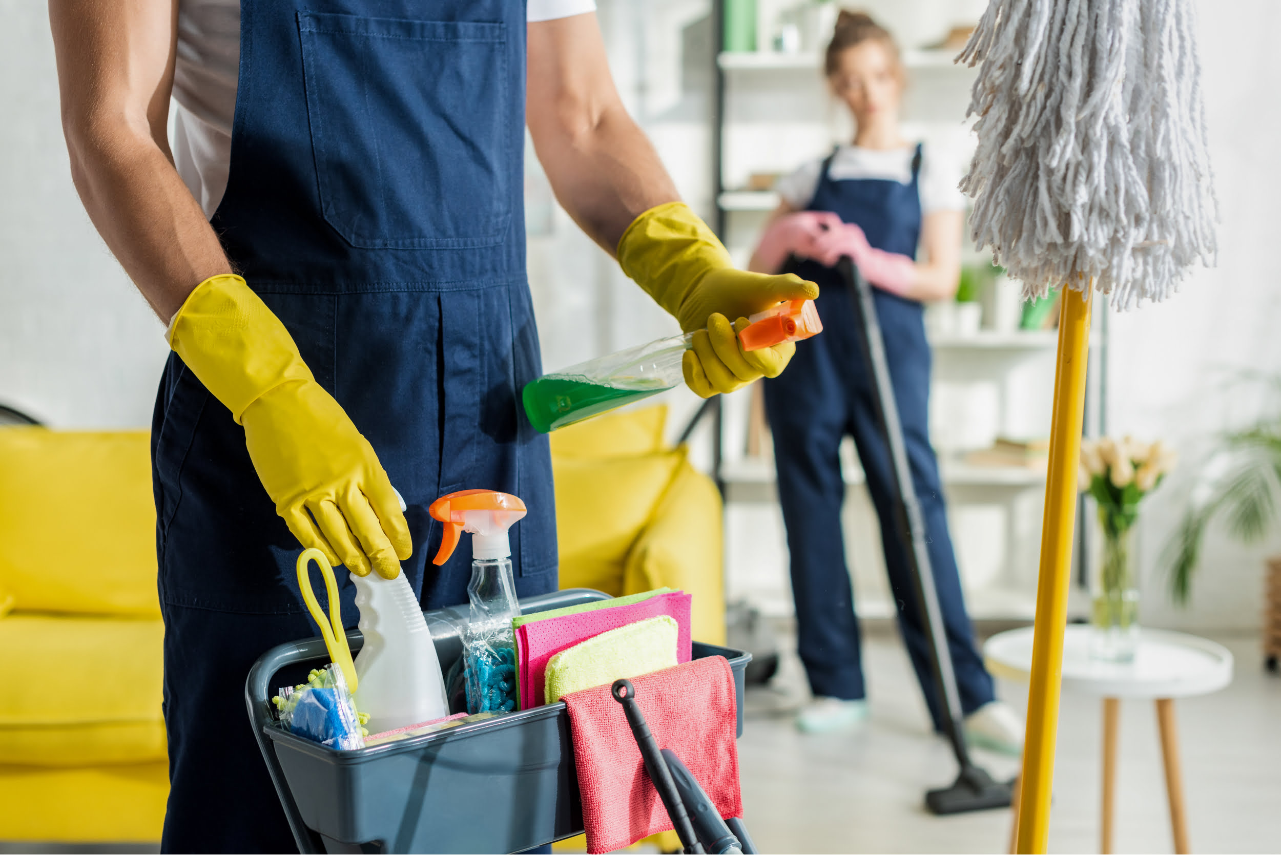 Domestic Cleaning